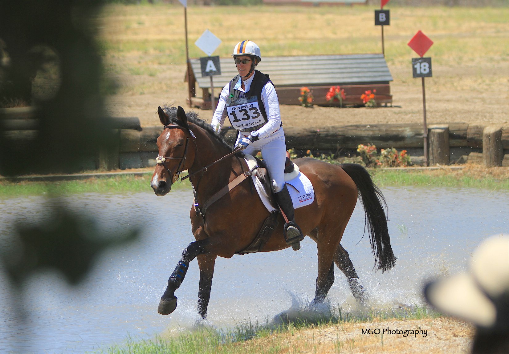 Auburn Brady Excell - Eventing